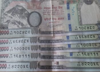 पाँच हजार घुस सहित बुडरका सहायक वन अधिकृत गिरी पक्राउ