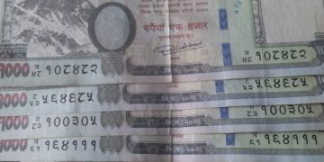 पाँच हजार घुस सहित बुडरका सहायक वन अधिकृत गिरी पक्राउ