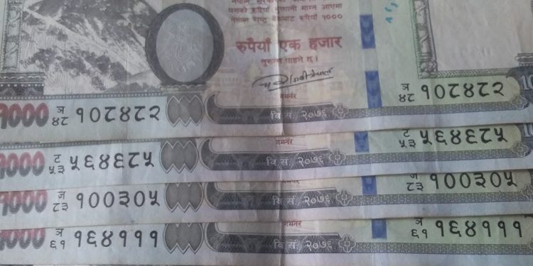 पाँच हजार घुस सहित बुडरका सहायक वन अधिकृत गिरी पक्राउ